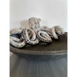 Great original sculpture with this octopus from elsewhere