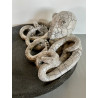 Great original sculpture with this octopus from elsewhere