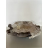Decorative Plate or Valet Tray in Raku Ceramic